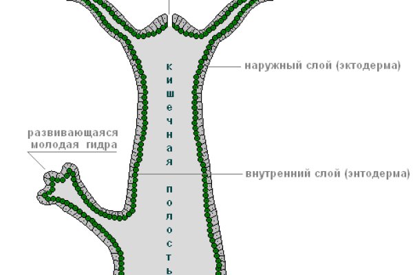 Как зайти на кракен даркнет